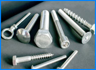 Incoloy Fasteners